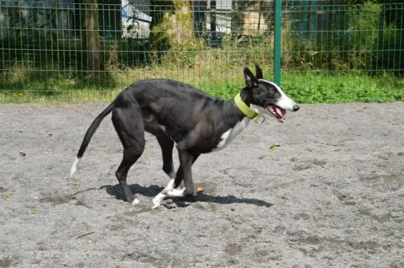 10532363 570180823090230 4573349829323558781 n