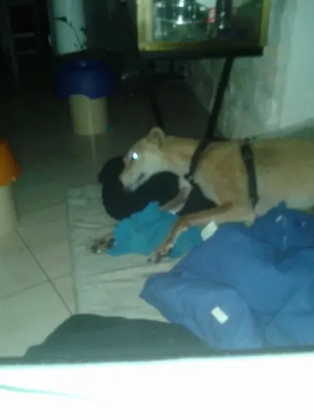 10532376 10203159845451324 183392415282911949 n