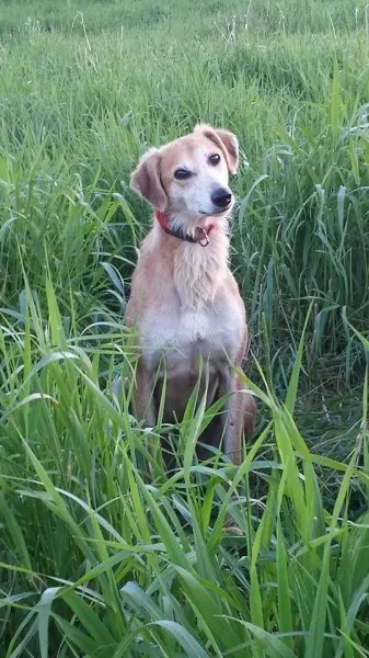 10534549 714481881934012 6276732554722438238 n