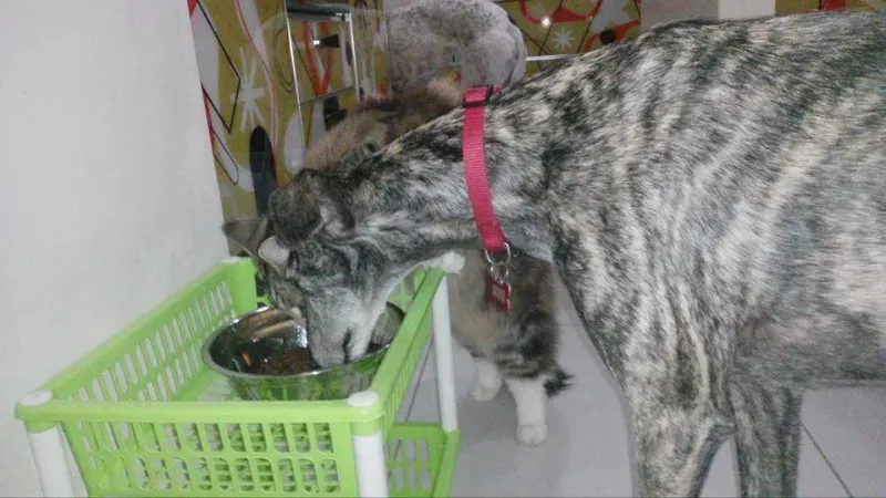 10537035 985356178214904 6730312228940261035 n