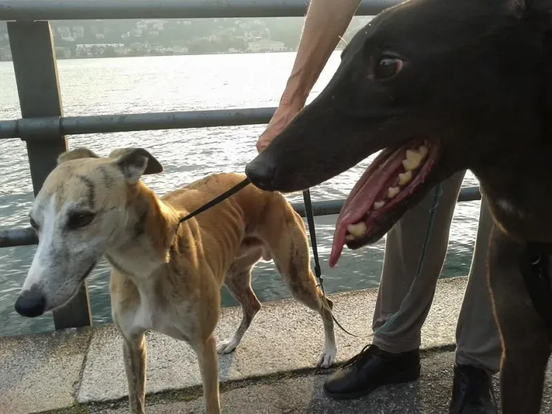 10537388 675035915907250 8469882572933943152 n