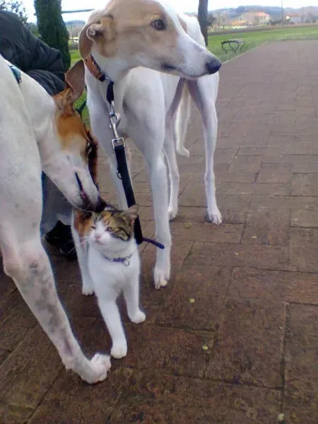 10537449 848134485270408 6545007166322339043 n