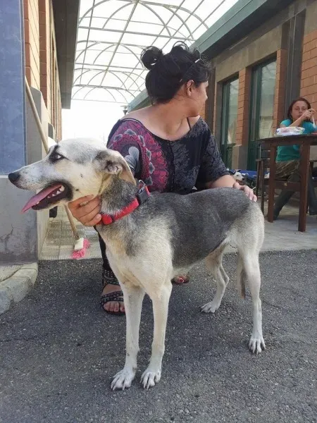 10540907 10203781272764715 9157429585788889702 n