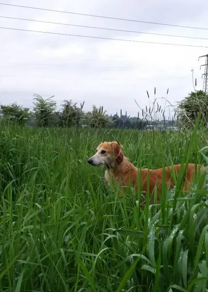 10543533 714481808600686 848653343107142357 o