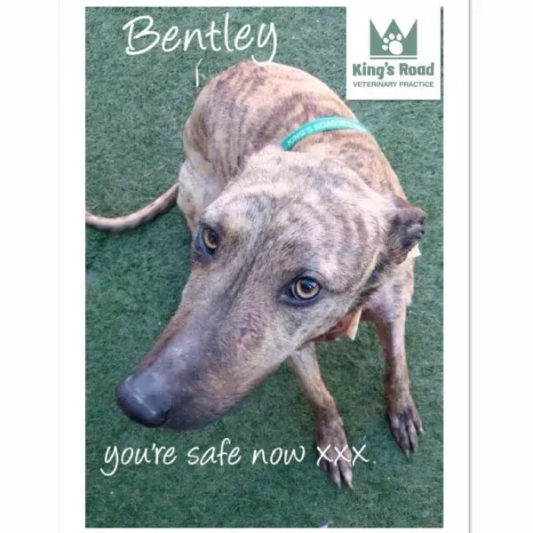 10547606 937248102975973 1710753630299302400 n