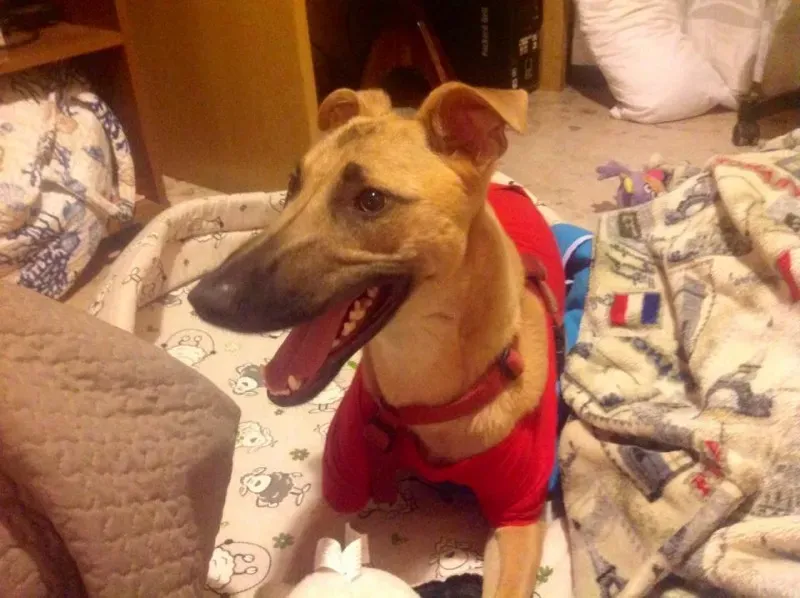 10547633 10204839378997013 3473638011827086985 n