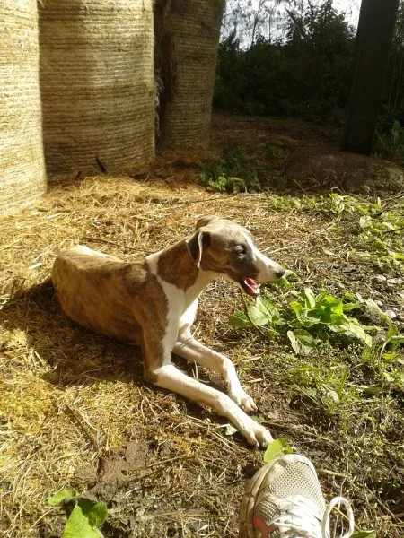 10548319 10152389223338031 1183781945507259604 o