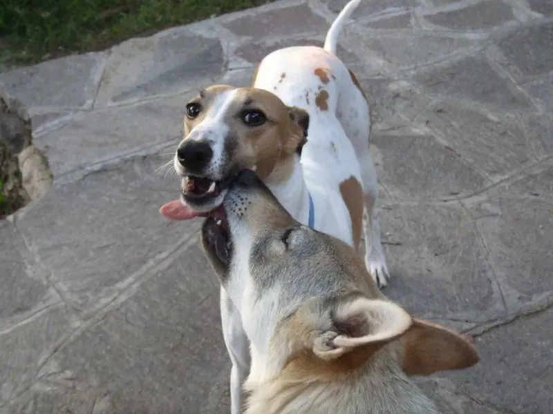 10548862 10203877937300182 1209943273177749823 o