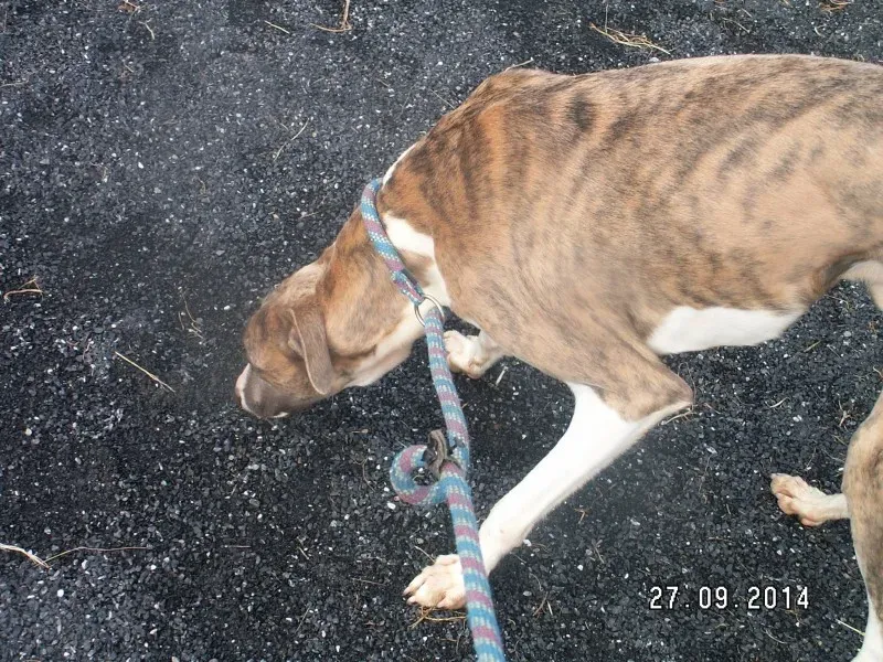 10550200 10152482688688031 1362350884432030921 o