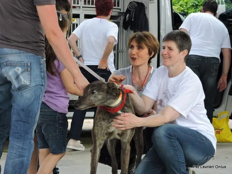 10551093 835088516575005 3380714893196284529 n