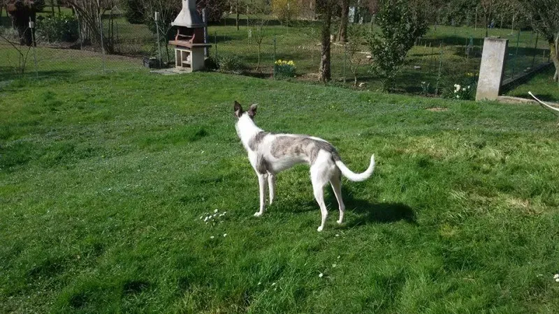 10553362 1994434450781142 2919348355420143302 n