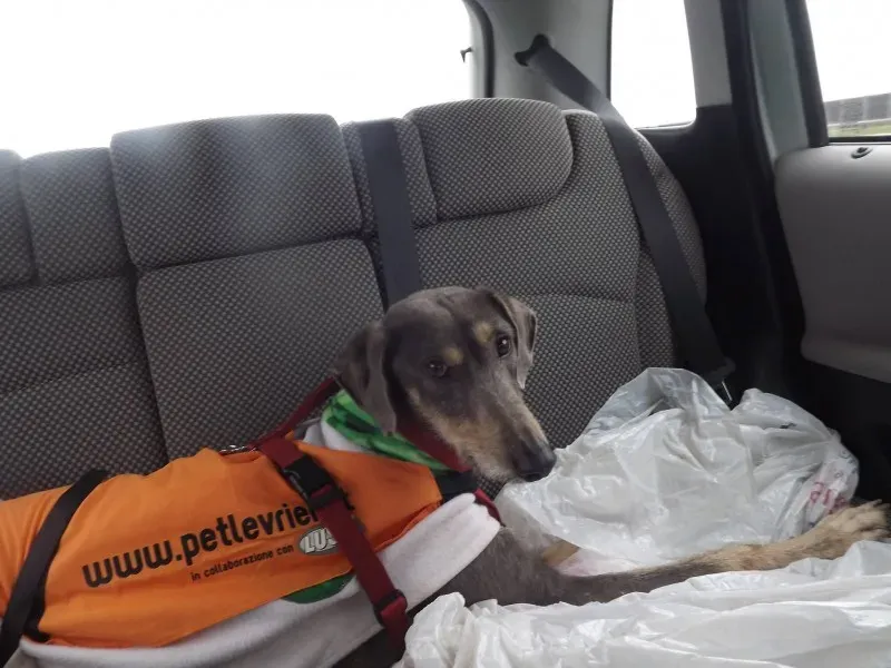 10556931 10204373374607122 5443184619040032134 o