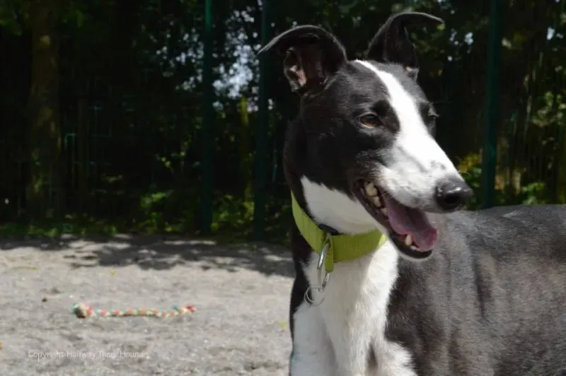 10557447 570180523090260 2477652087838749070 n