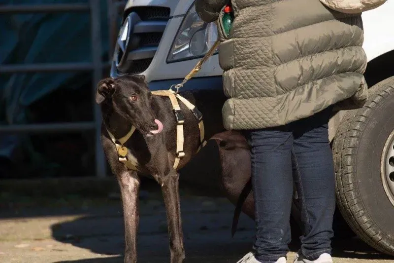 10557526 931137716970084 5264938620994333329 o