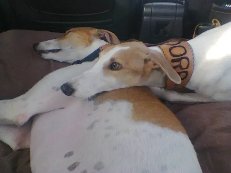 10557598 10201460257788599 4381680888897543522 o