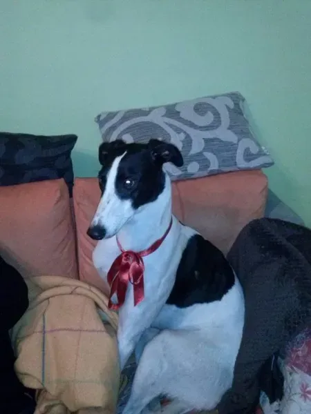 10559662 1139261089418639 7768989740348436778 n