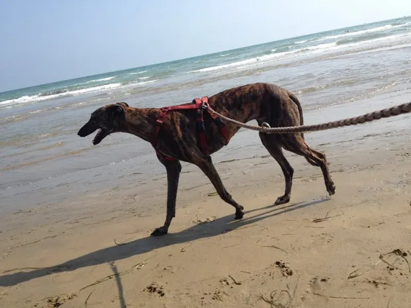 10561742 682183621867429 6882270269394688102 n