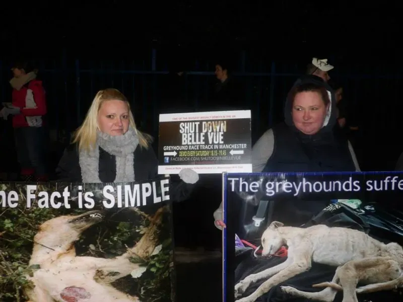 10562942 904662502911896 343438025451301277 n