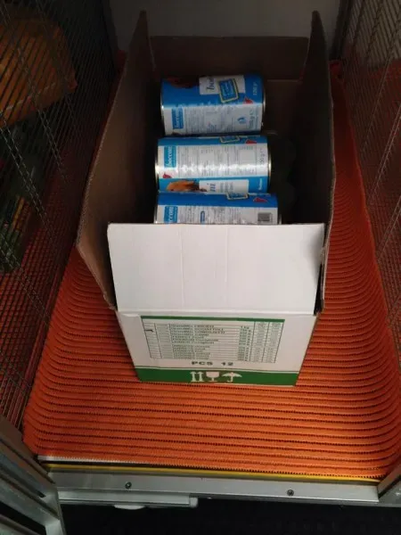 10567397 853528664665189 1146126209 n