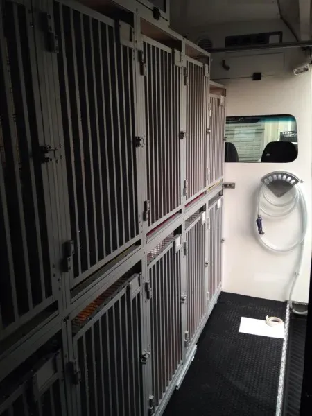 10567397 853528681331854 2003834114 n