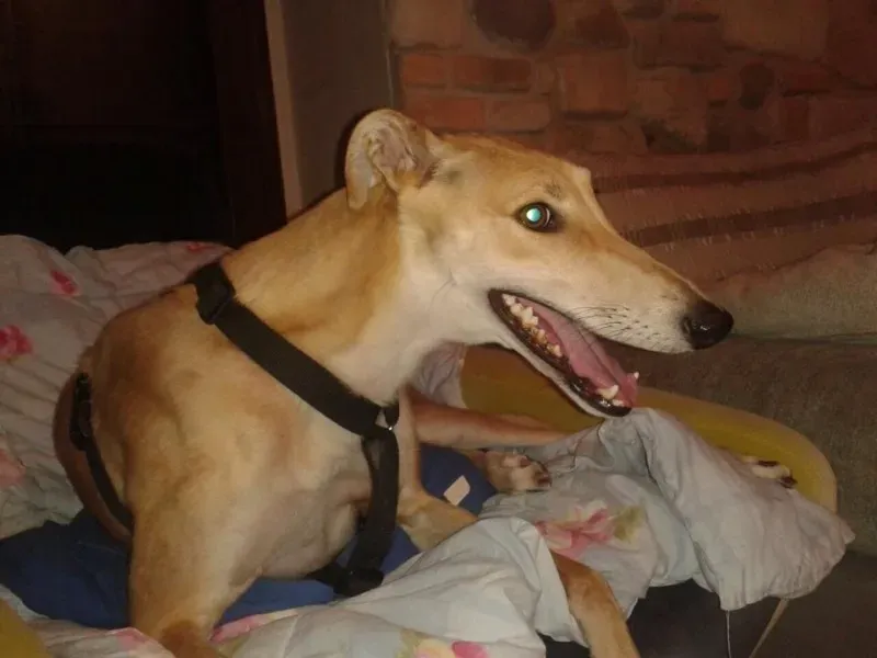 10570286 677745488975976 3990579141545149275 n