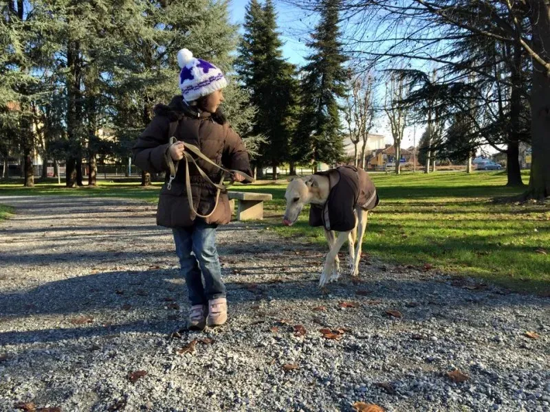 10570509 398908313599221 6102579010110136845 n