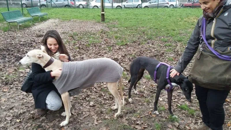 10574664 10205494738951692 2075779887 o