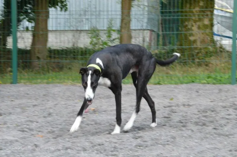 10580036 570180419756937 7592561489045420906 n