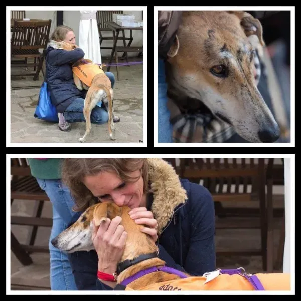 10580053 932323586851497 7404089436041054753 n