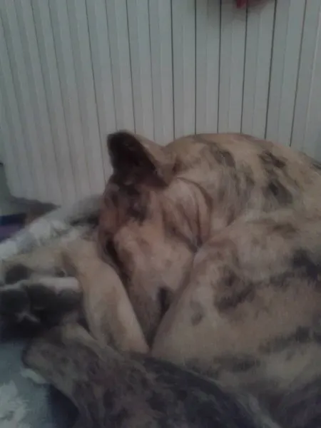 10580266 209484642745630 4697971010244827602 n