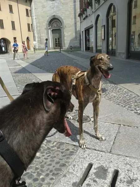 10583976 681674288576746 5535088482481959064 n