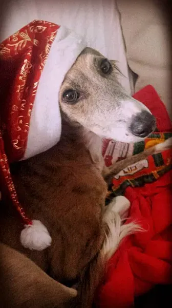 10590524 10208122566452250 1838451356723292892 n