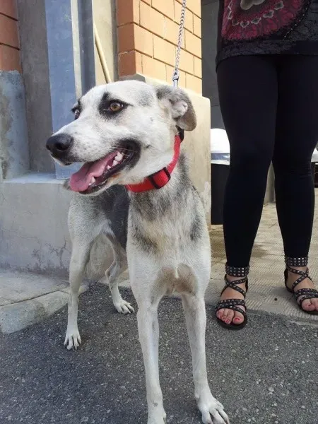 10590596 10203781271684688 1638951826012564242 n