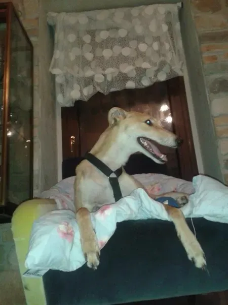 10592972 677745312309327 2368854615504499632 n