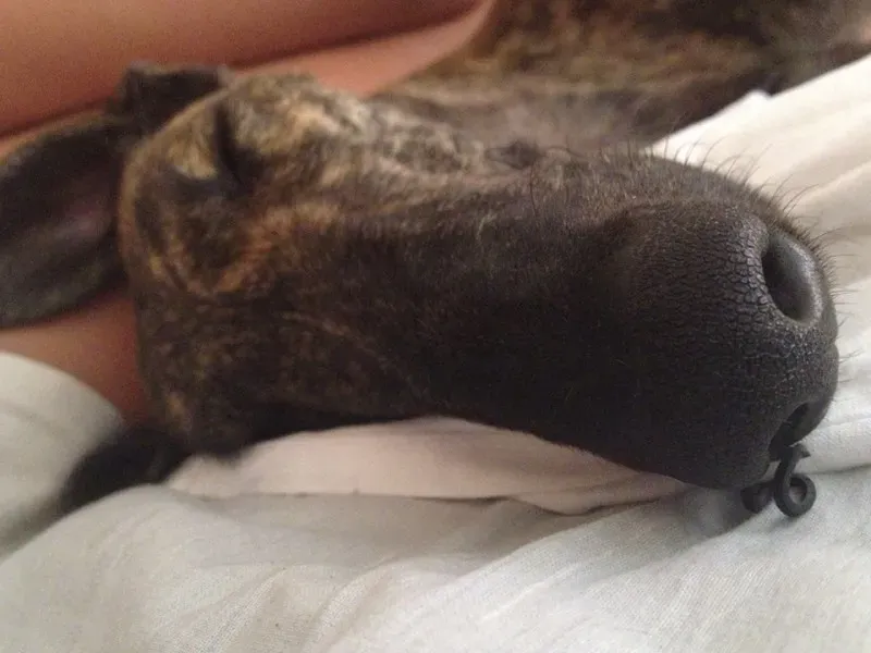 10599405 682183638534094 2942709538985698341 n