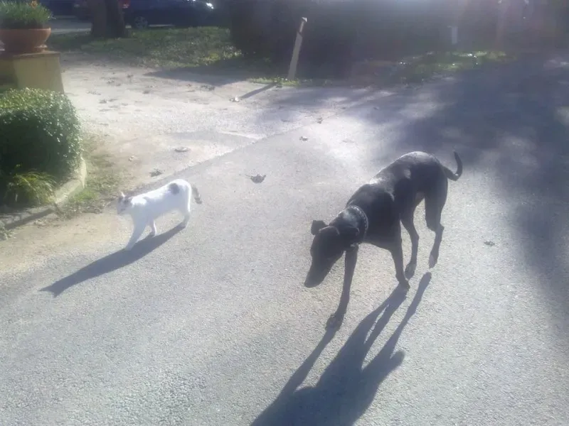 10599502 775564695860721 7225781473482937359 n