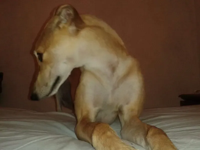 10599584 677745515642640 8033196698752475455 n