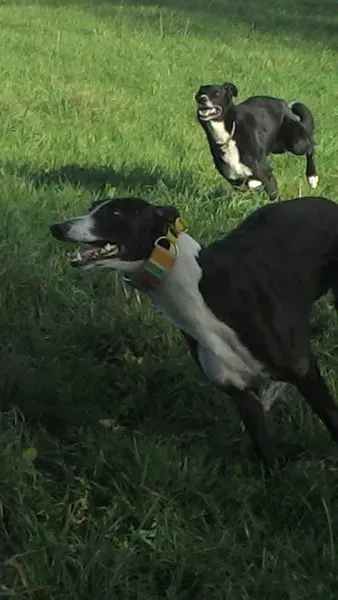 10599607 10204258115906629 6999053983232239965 n