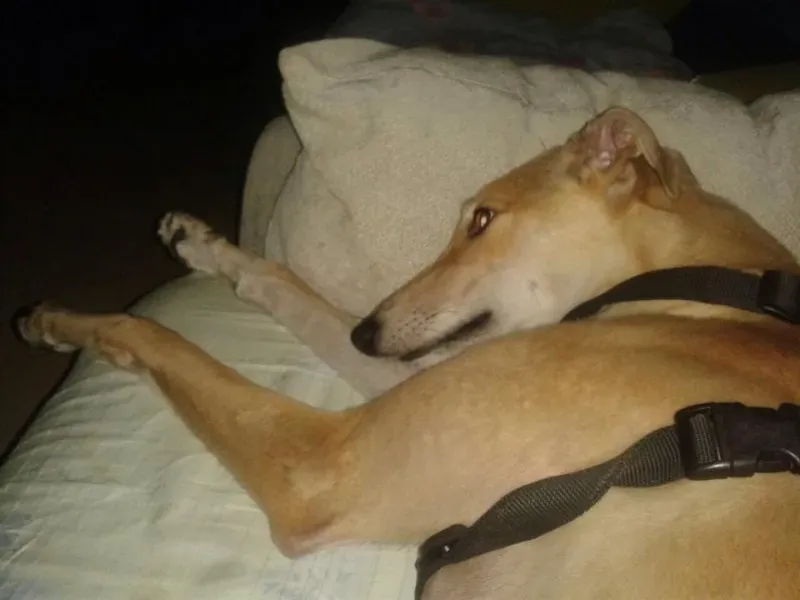 10600539 677745235642668 4052966450810817061 n