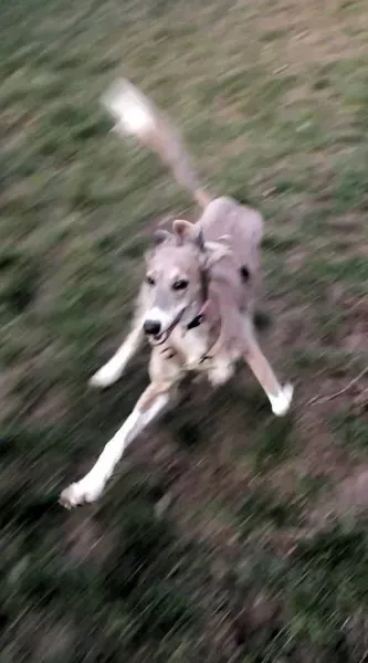 10600566 10208781028473389 6916121103516247454 n