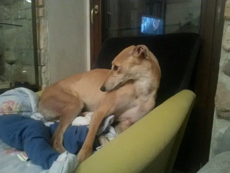 10603251 677745425642649 3455329531765783312 n