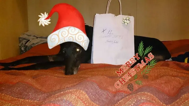 10603284 10203947088475977 5191481493940743792 n