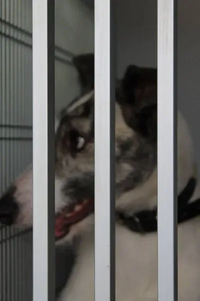 10603534 1014948925189473 6452752929642415510 n