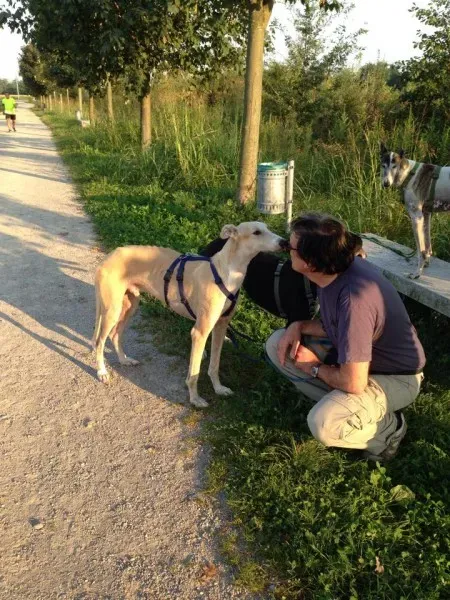 10603662 702430966515176 9202676141351267272 n