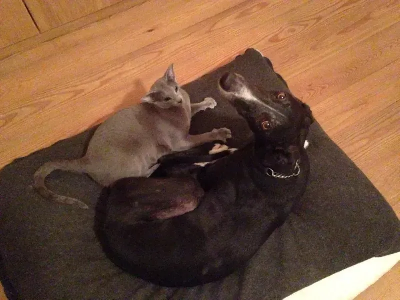 10603683 766744156742775 5855173173847818848 n