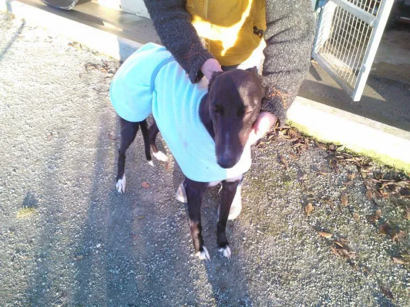 10603805 735161959900995 7159376068542344041 n