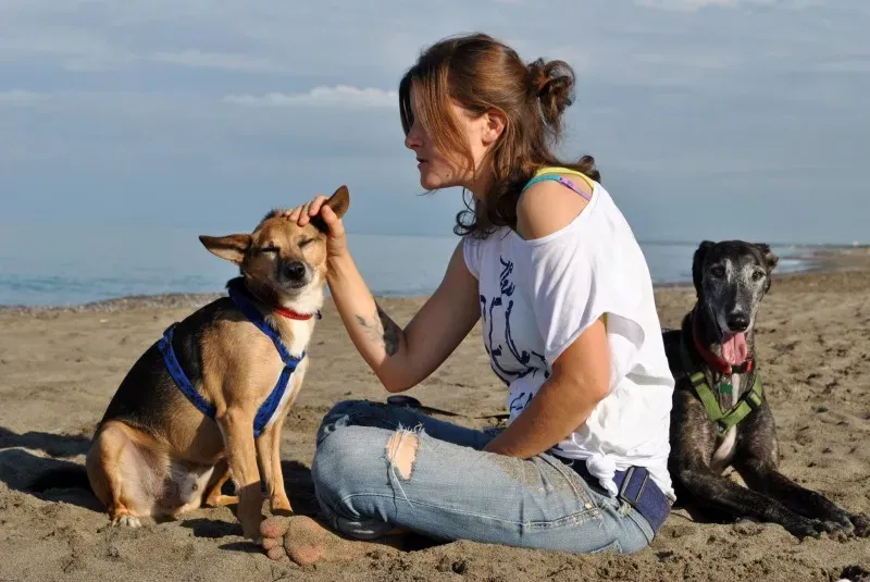 10603843 753954271337476 5534508231663070326 o