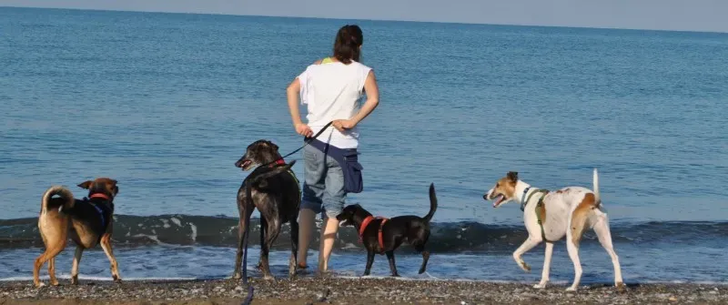 10603900 753913568008213 5789264335147932997 o