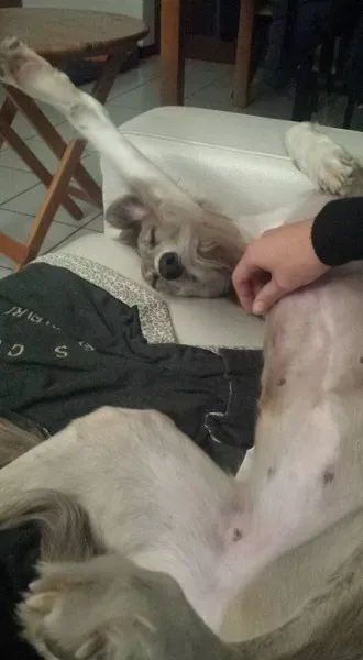 10606002 10208781036593592 7599852283469864182 n