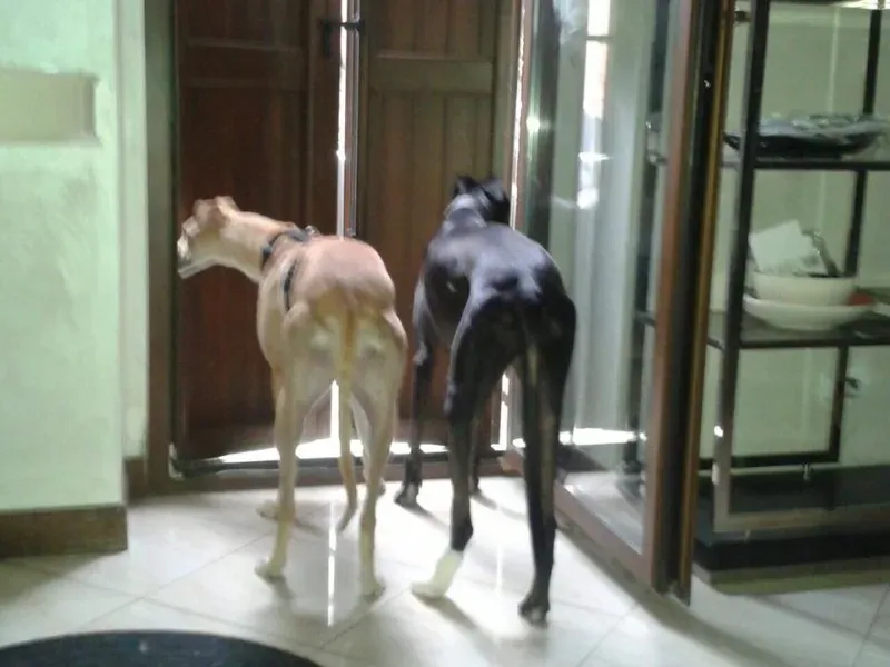 10606056 677745462309312 1932984401291884932 n